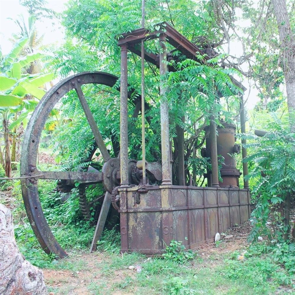 The historic Moulin Prince sugar-cane mill in Jacmel, Haiti: a giant rusted iron wheel and cane press overgrown with green leaves